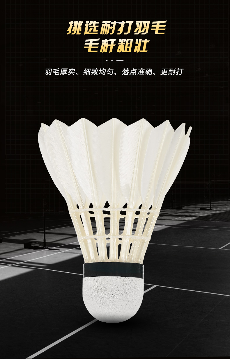 Nieuwe 12 Stuks Professionele  - Badminton Youtube recensie en prijs